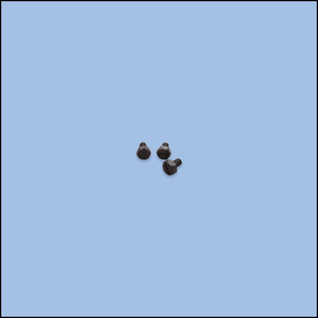 SCREW (84-4010-0)