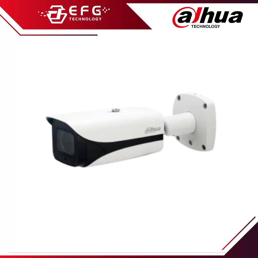 DAHUA IP-Network CCTV Camera