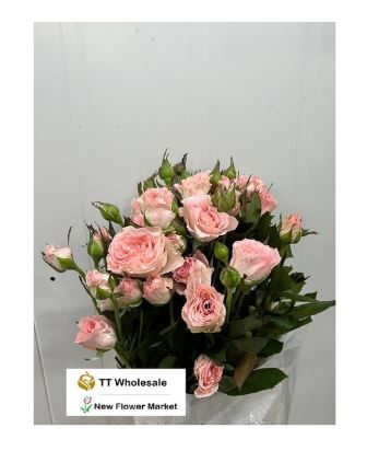 Fresh Flower Rose Spray | Buy Fresh Flower Online