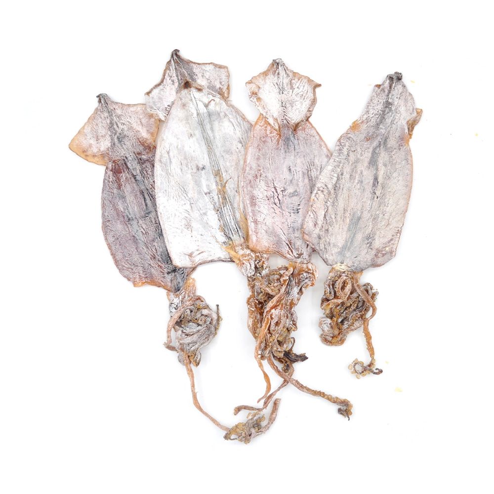 Korean Dried Squid 韩国鱿鱼