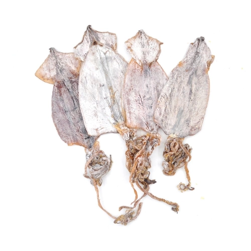 Korean Dried Squid 韩国鱿鱼