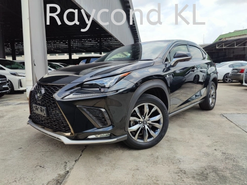 2019 LEXUS NX300 F SPORT (9276)