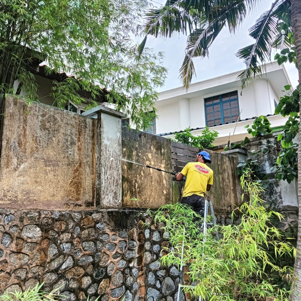 Interior & Exterior Painting Services
