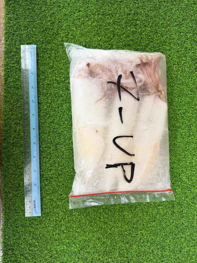 Frozen Sotong