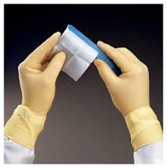 Powder Free Latex Gloves