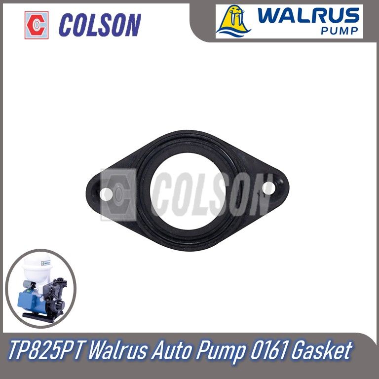WALRUS TP825PT Auto Pump 0161 Gasket