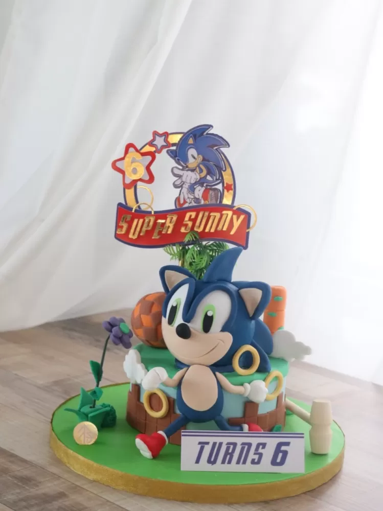 Sonic Chocolate Pinata Mini with Cake