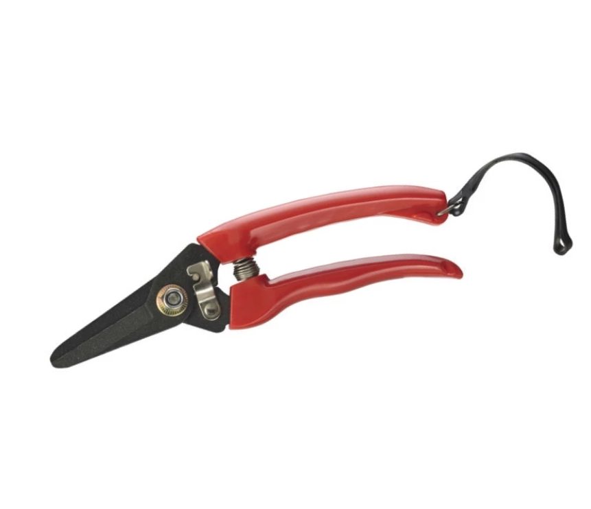 M10 Pruning Shear (7") 2207 - 7寸虎头牌花枝剪刀