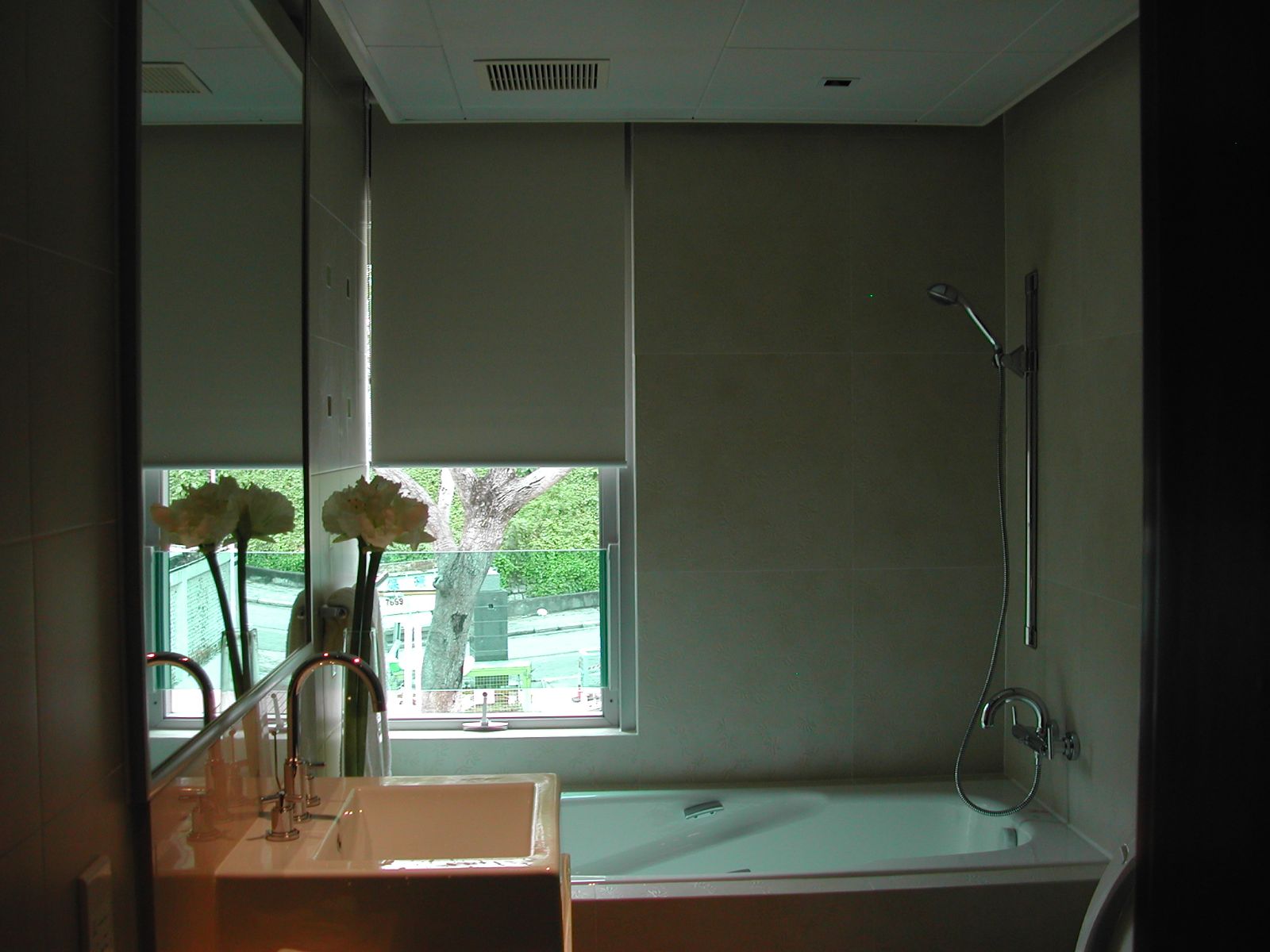 Block Out Roller Blind for Privacy | 100% Polyester Fabric | Roller Chain/Motorised System