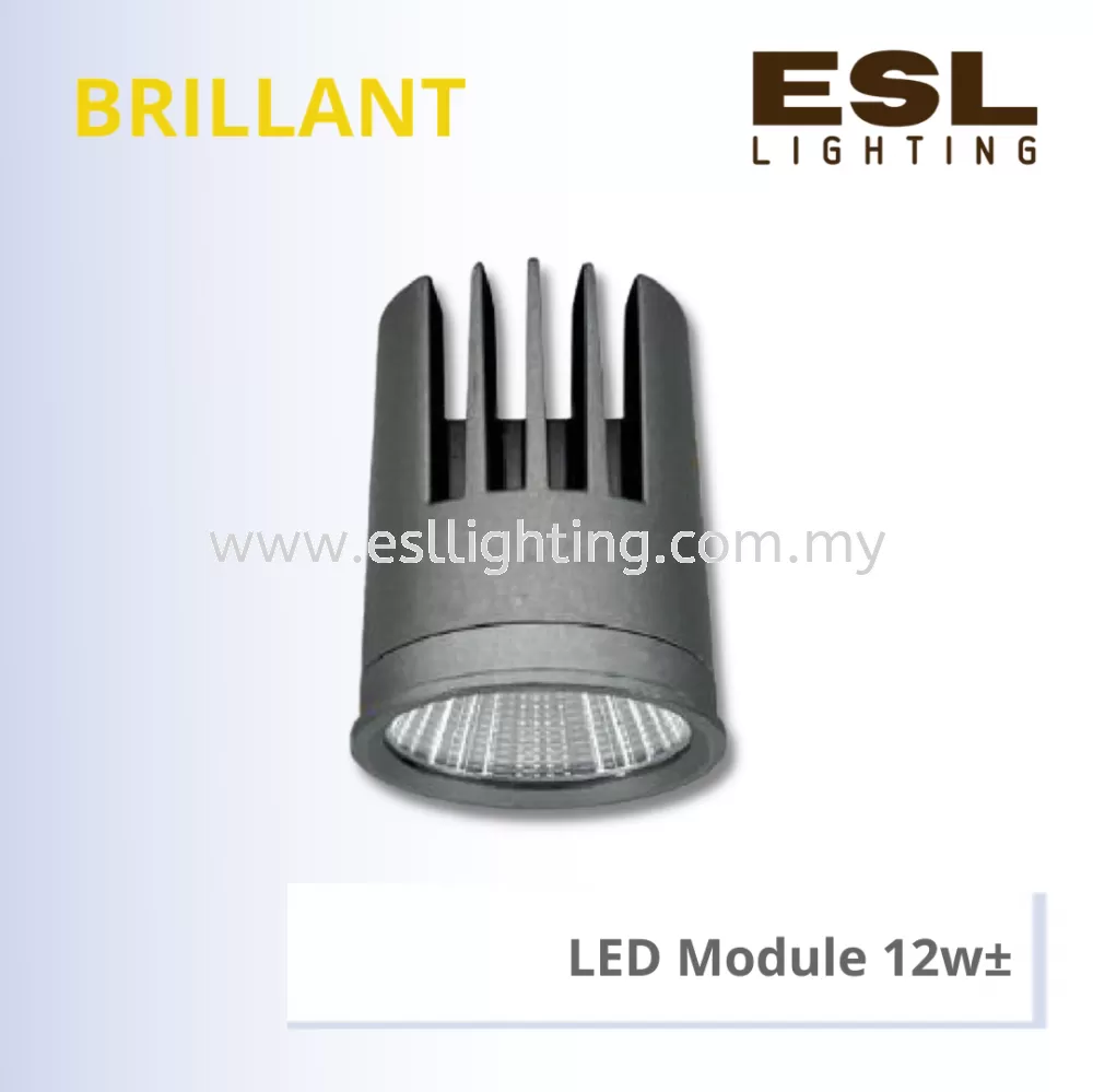 LED MODULE