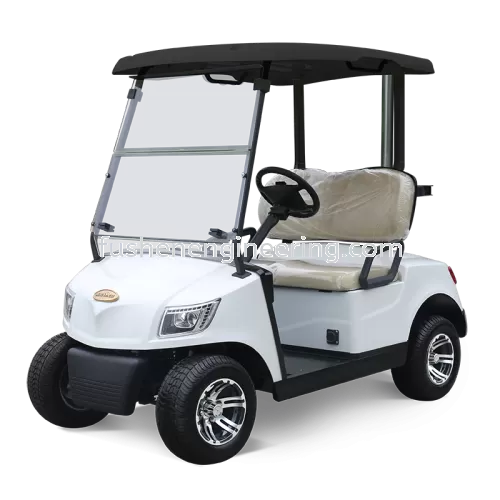 FUSHEN 2 Seater Golf Cart MODEL : DG-M2