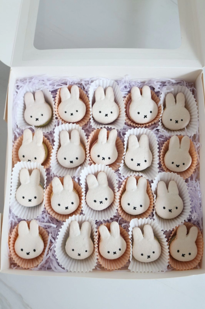 Miffy Bunny Macaron