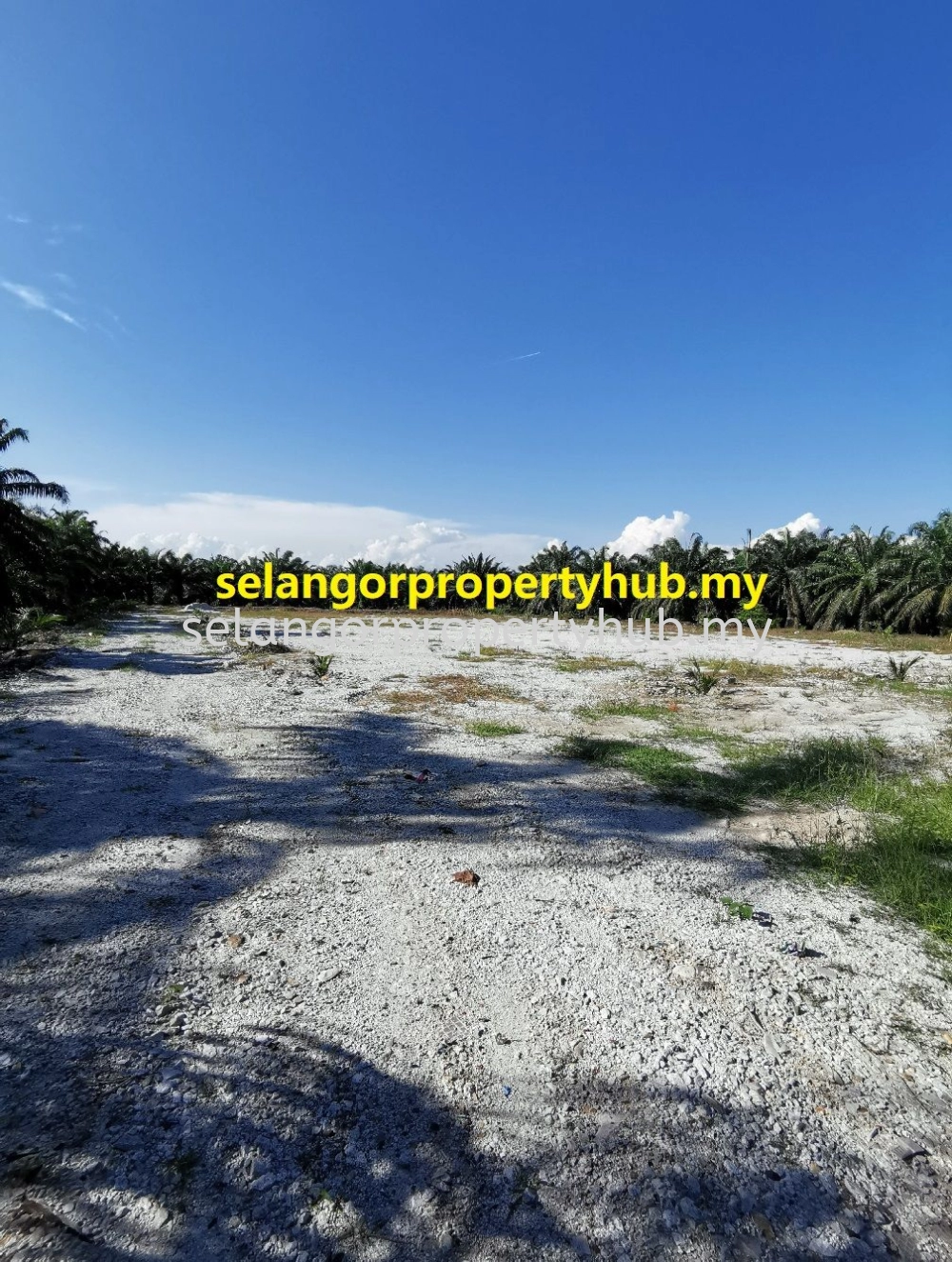 Vacant Land / Agriculture Land 空地，农业地