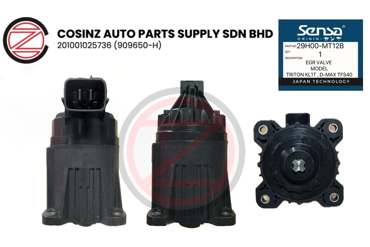ERG VALVE