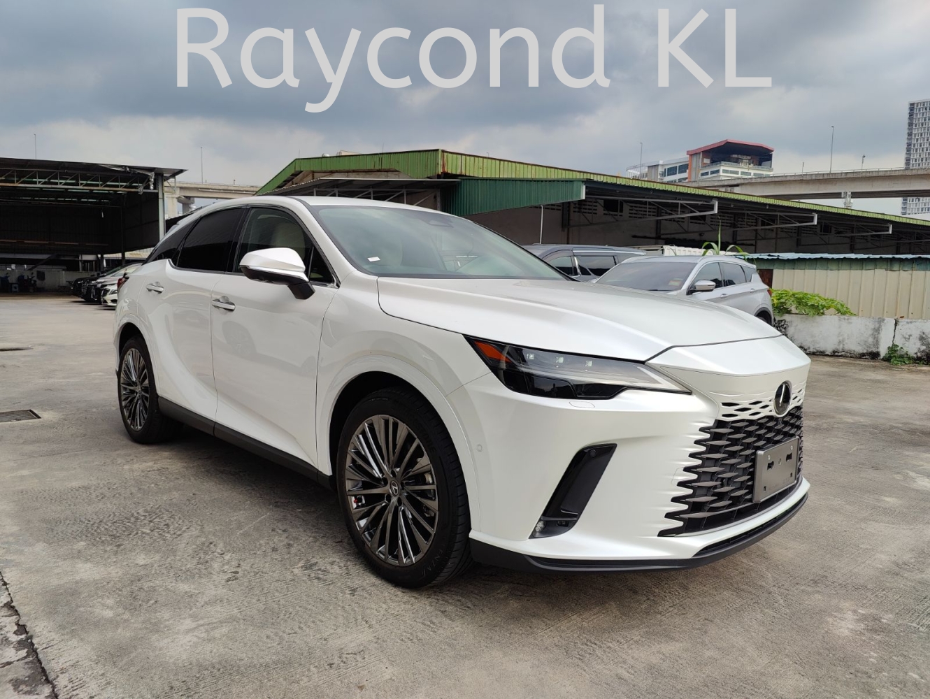 2023 LEXUS RX350 VERSION L (LUXURY) (0035)