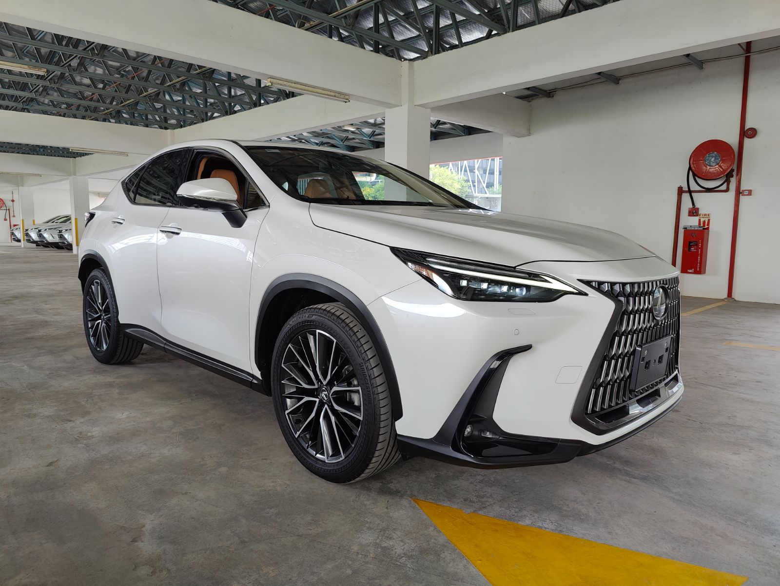2023 LEXUS NX250 VERSION L (LUXURY) (2059)