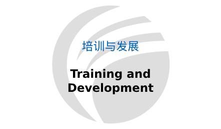 培训与发展 Training and Development