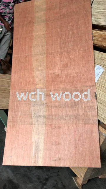 Nyatoh Plywood