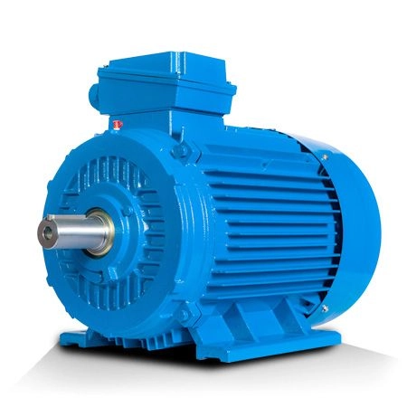 Industrial Motor