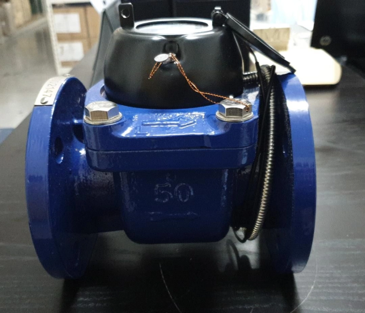 TRI Woltman Flowmeter - DN50