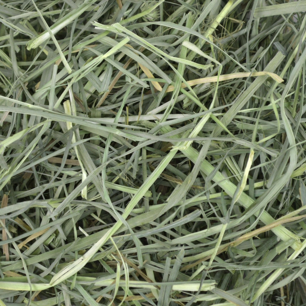 Oxbow Orchard Grass Hay (15oz)