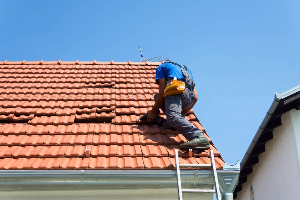 Vega Synergy Sdn Bhd Malaysia Reviews 2026 | Roofing Contractor in Puchong Selangor | Solar100