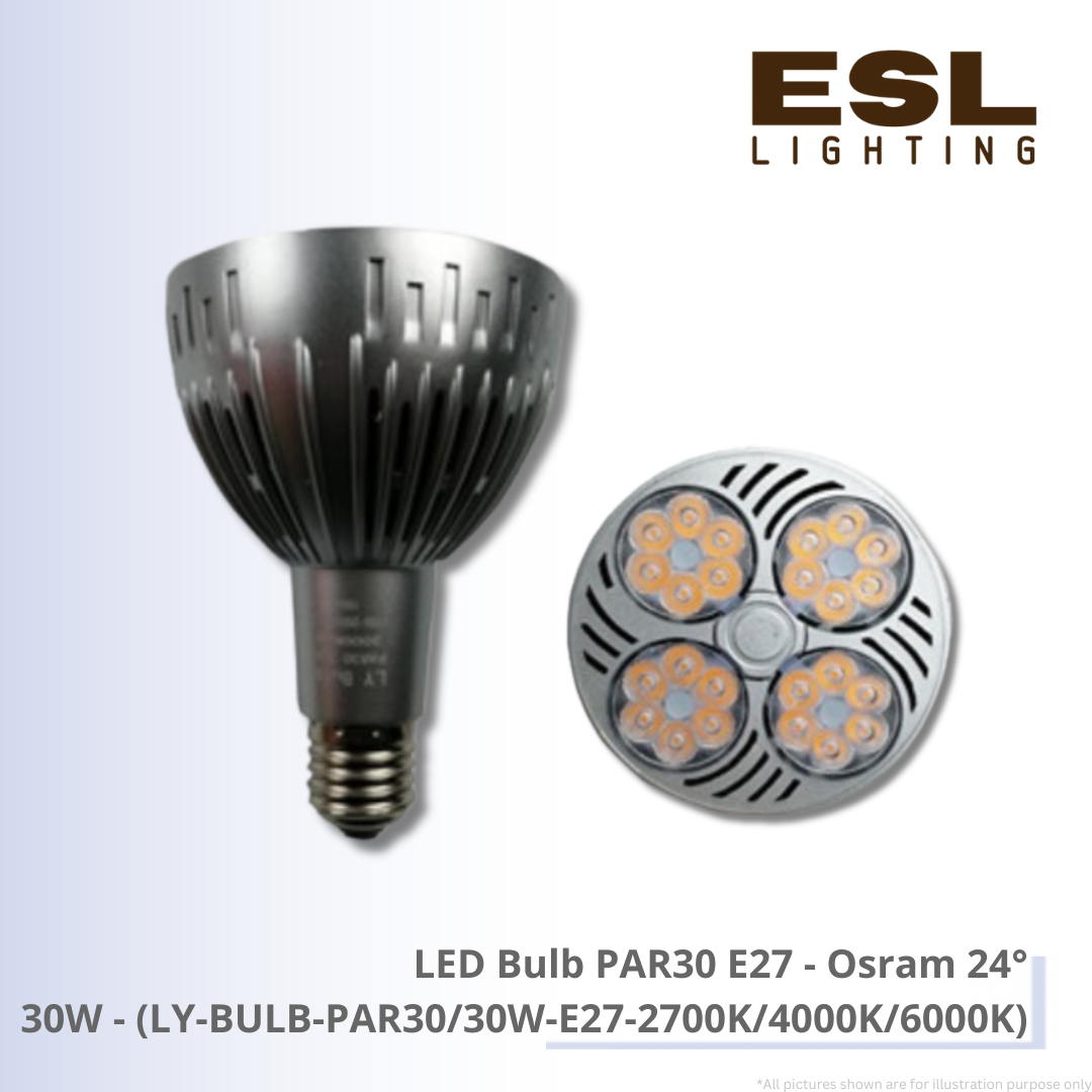 LED Bulb PAR30 E27  Osram 24掳 30W - LY-BULB-PAR30/30W-E27-2700K/4000K/6000K