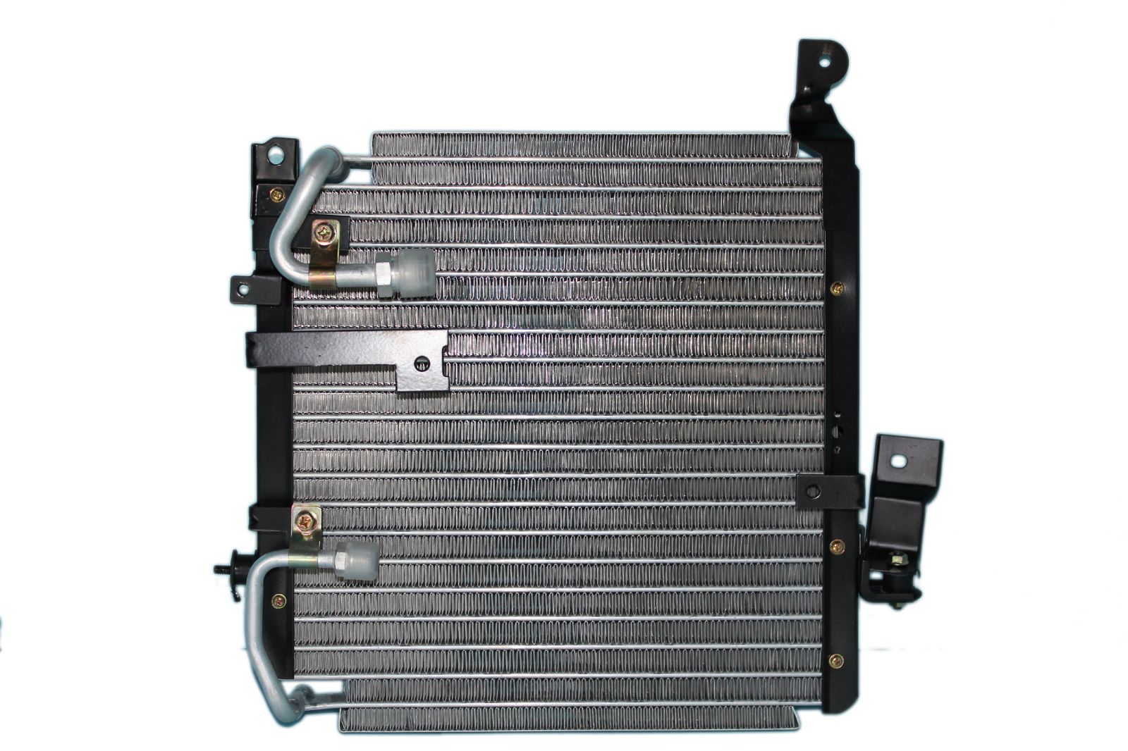 Per.Kancil SD (SP) (C [SWJ-54]