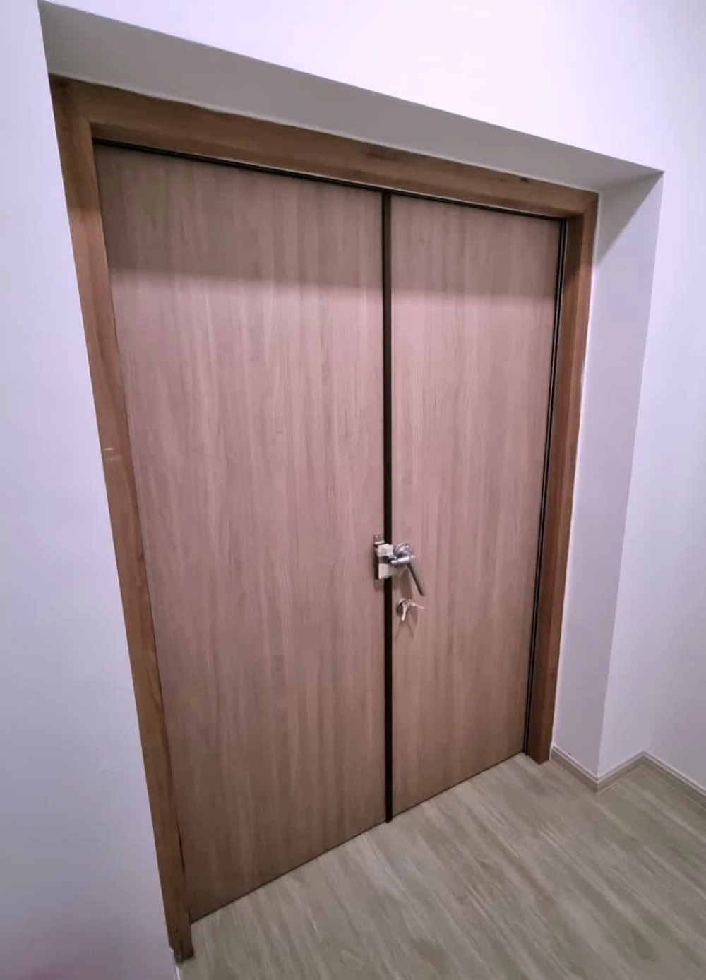 Acoustic Timber Door