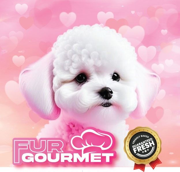 Fur Gourmet CO (Dog)