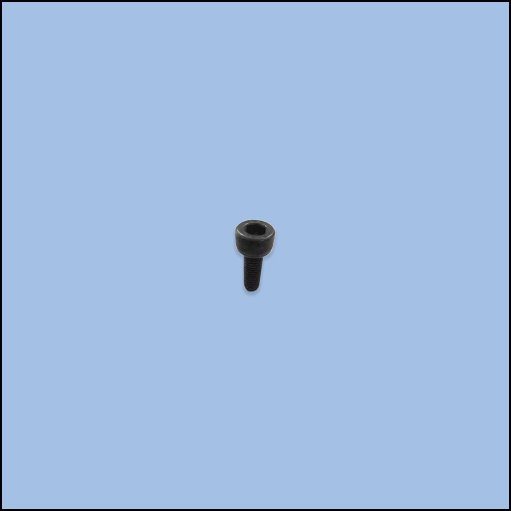 SCREW (23-1108)