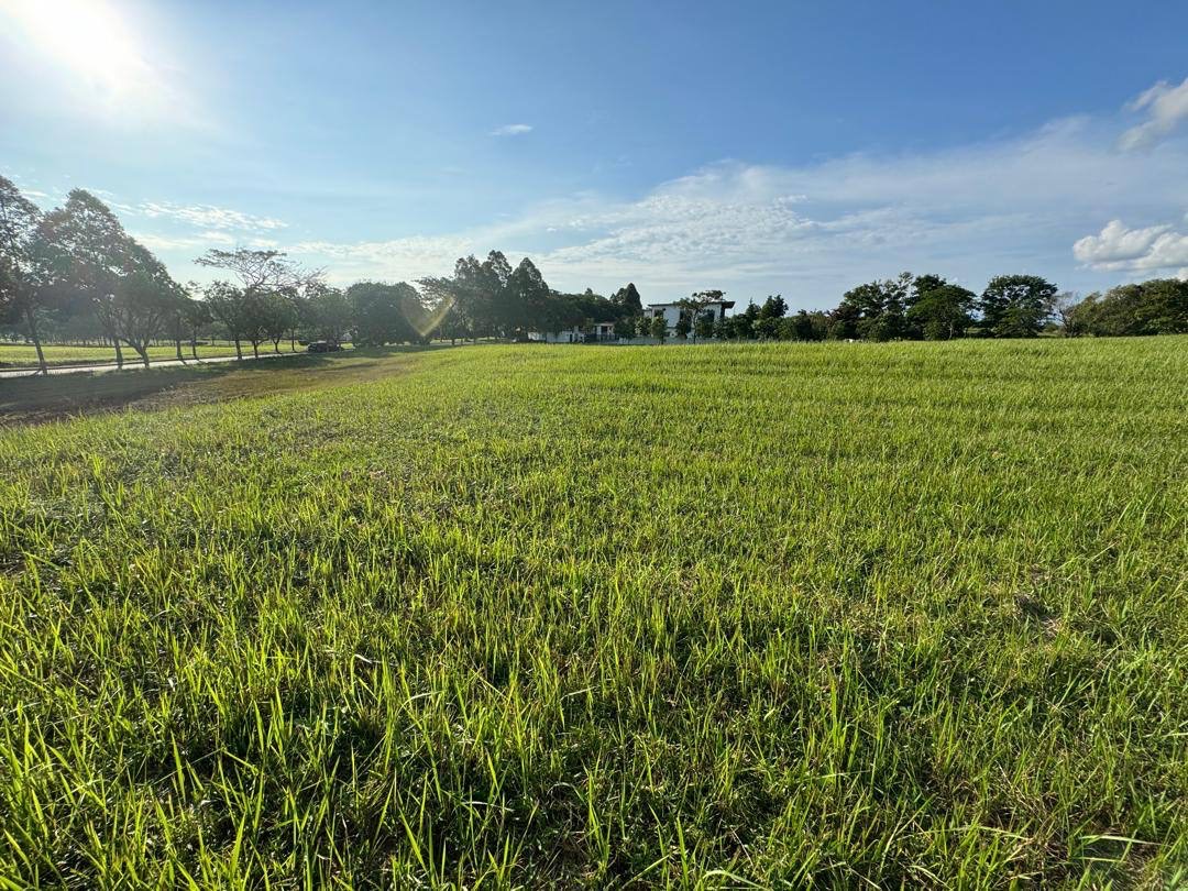 Leisure Farm Corner Lot Bungalow Land For Sale