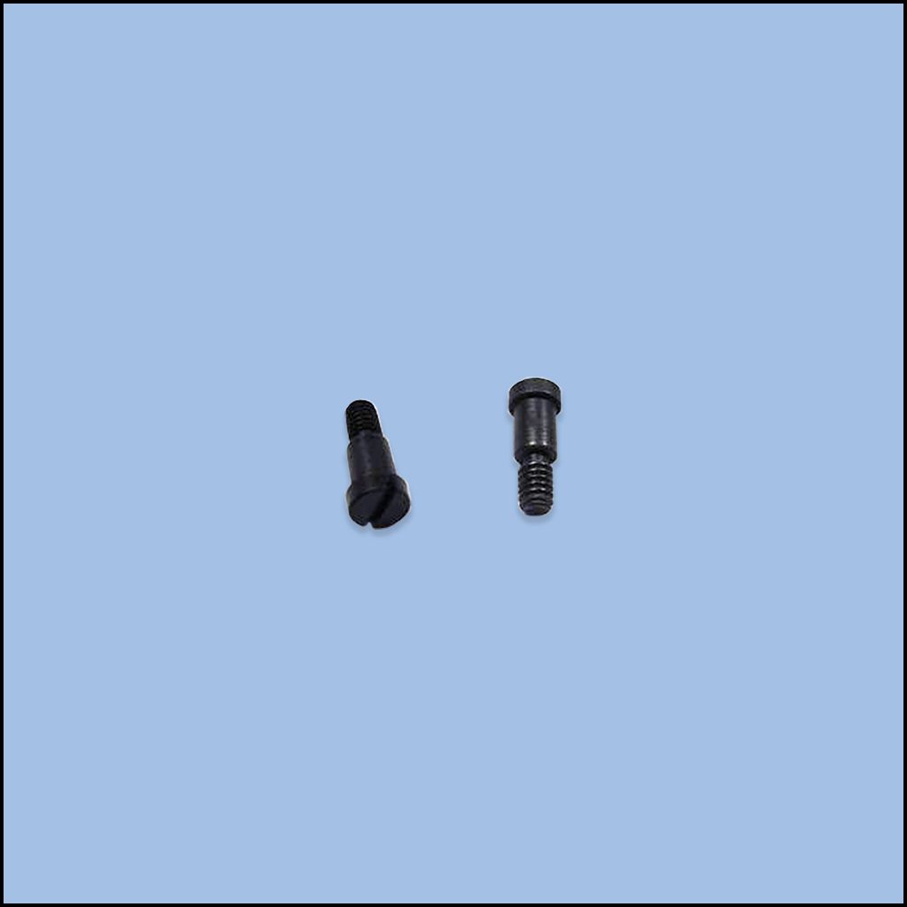 CAM SPRING SCREW 2900832 (LTG-A171)