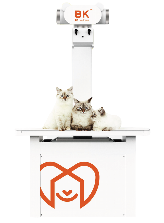 BK HEALTHCARE MODEL 3Ti VETERINARY STATIC DR XRAY