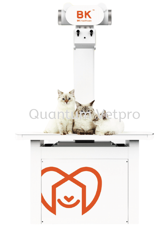 BK HEALTHCARE MODEL 3Ti VETERINARY STATIC DR XRAY