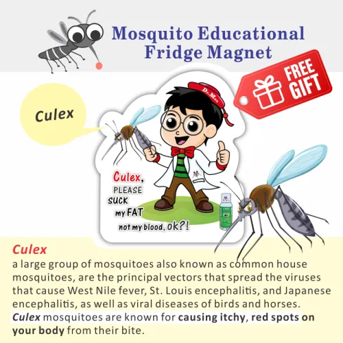 FREE GIFT_Culex_Mosquito Educational Fridge Magnet