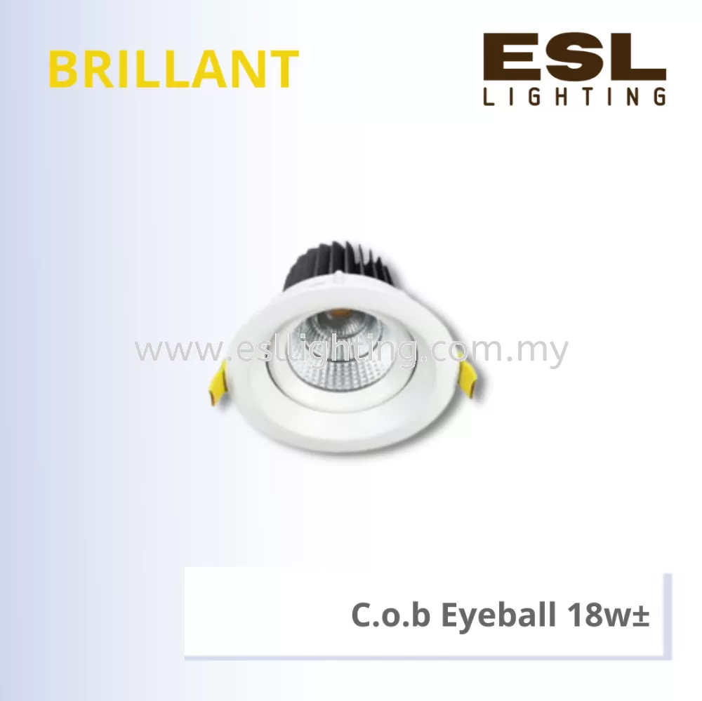 DOWNLIGHT EYEBALL