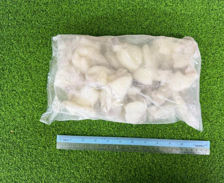 Sotong WCC IQF 40/60