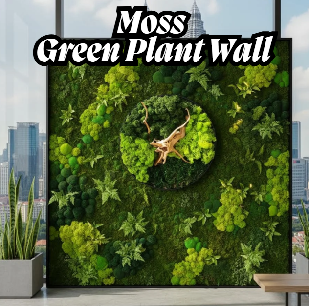 Moss and Green Plant Wall Malaysia 马来西亚苔藓和绿色植物墙 Lumut dan Tembok Tumbuhan Hijau Malaysia