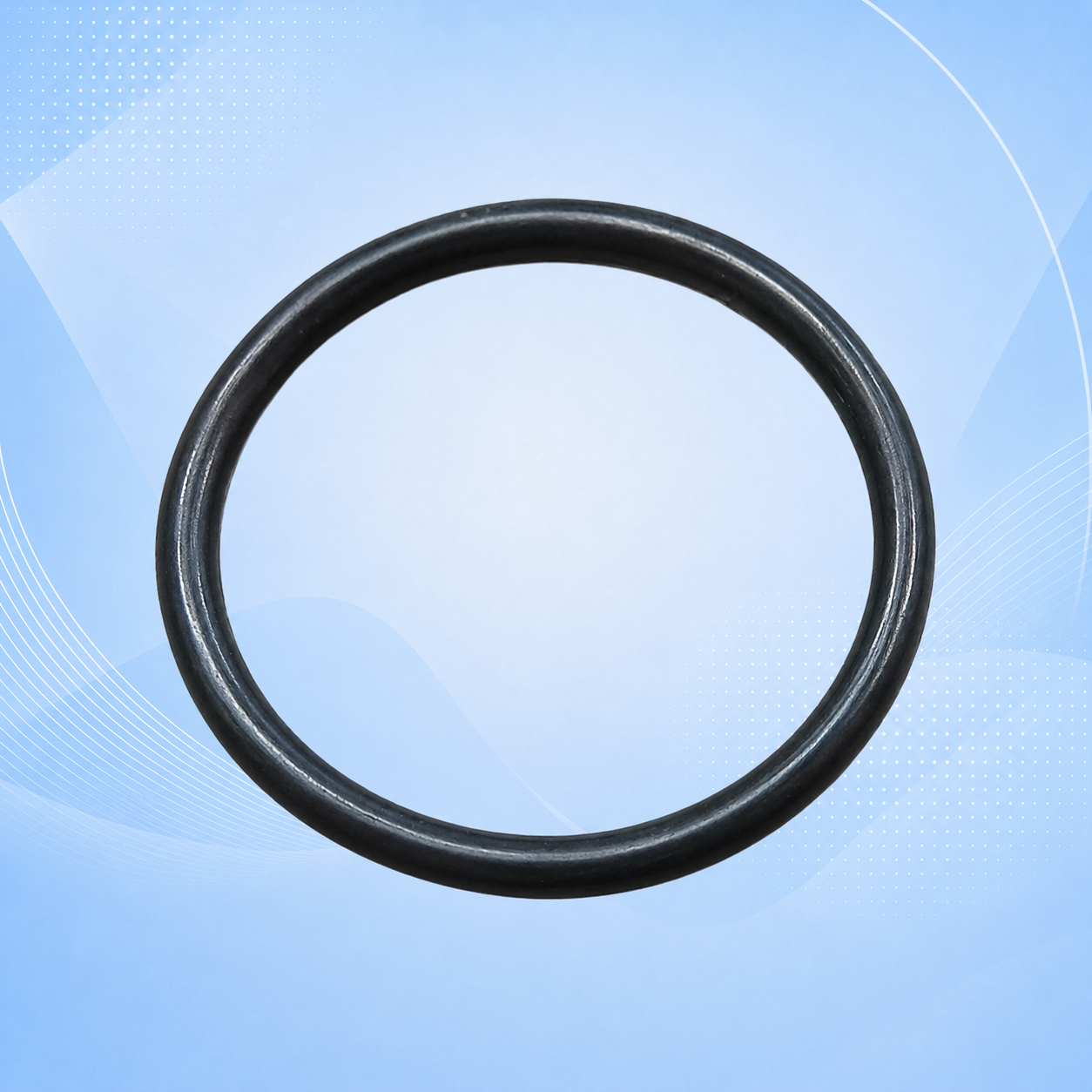 P/NO. SS03 O-RING (PAXON F1013)