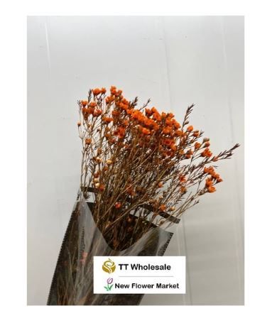 Bulk Wax Flower for Florists | Fresh Cut Filler Greenery