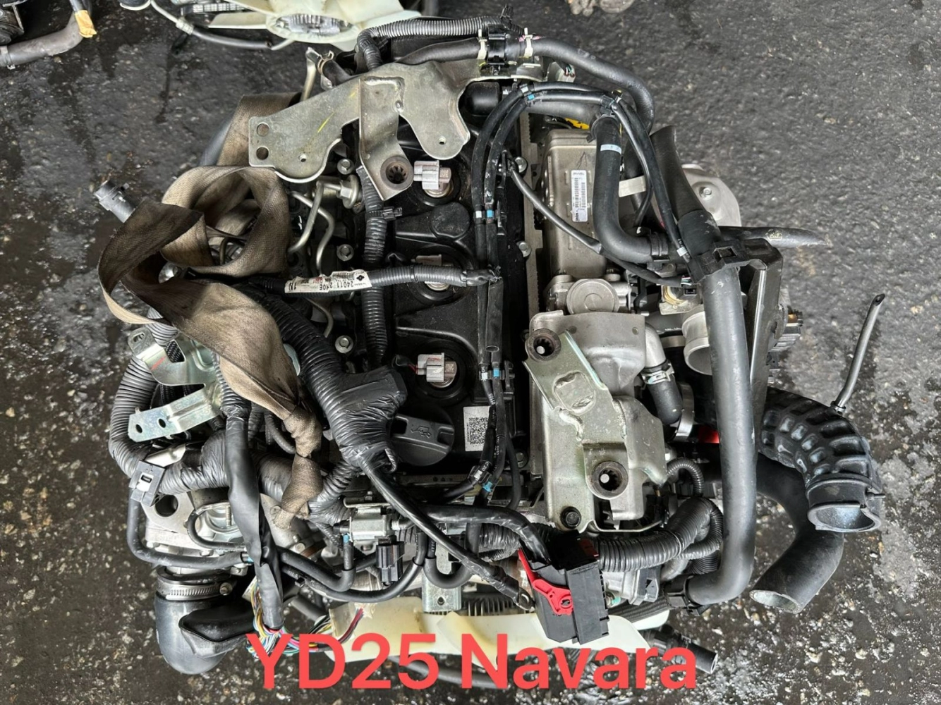 NISSAN YD25 NAVARA