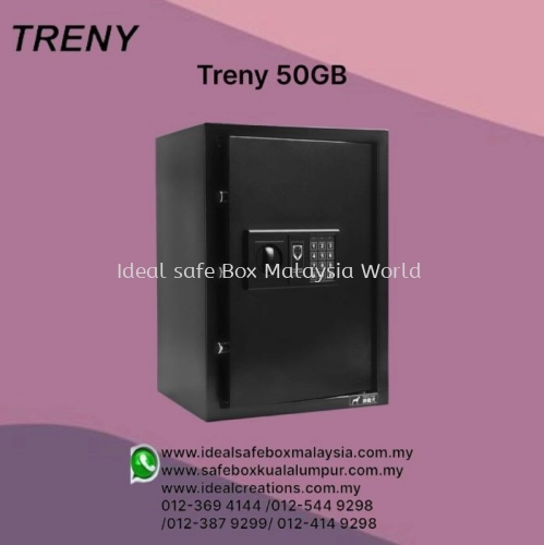 Treny Safebox 50GB