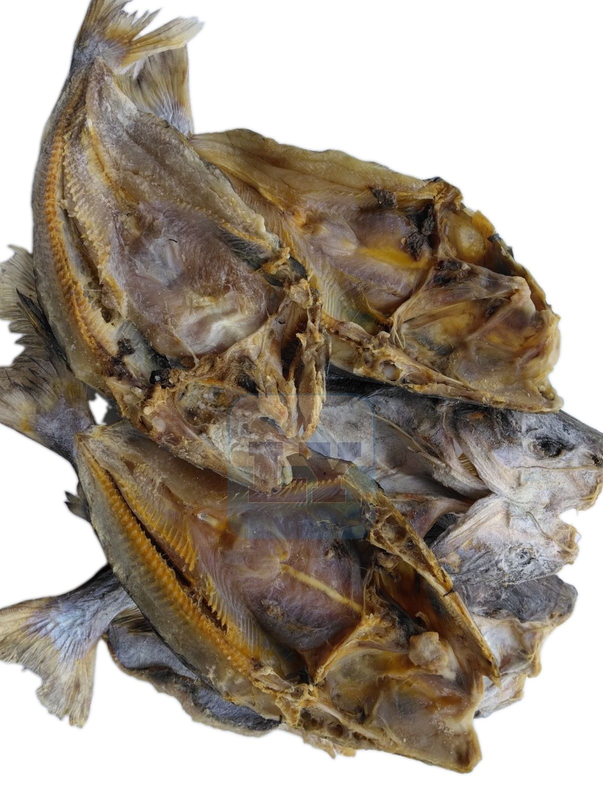 Ikan Masin Duri