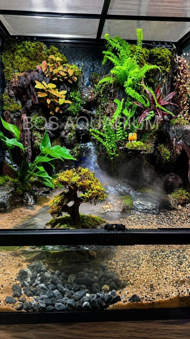 Exoterra Pro Paludarium 60x45x60cm