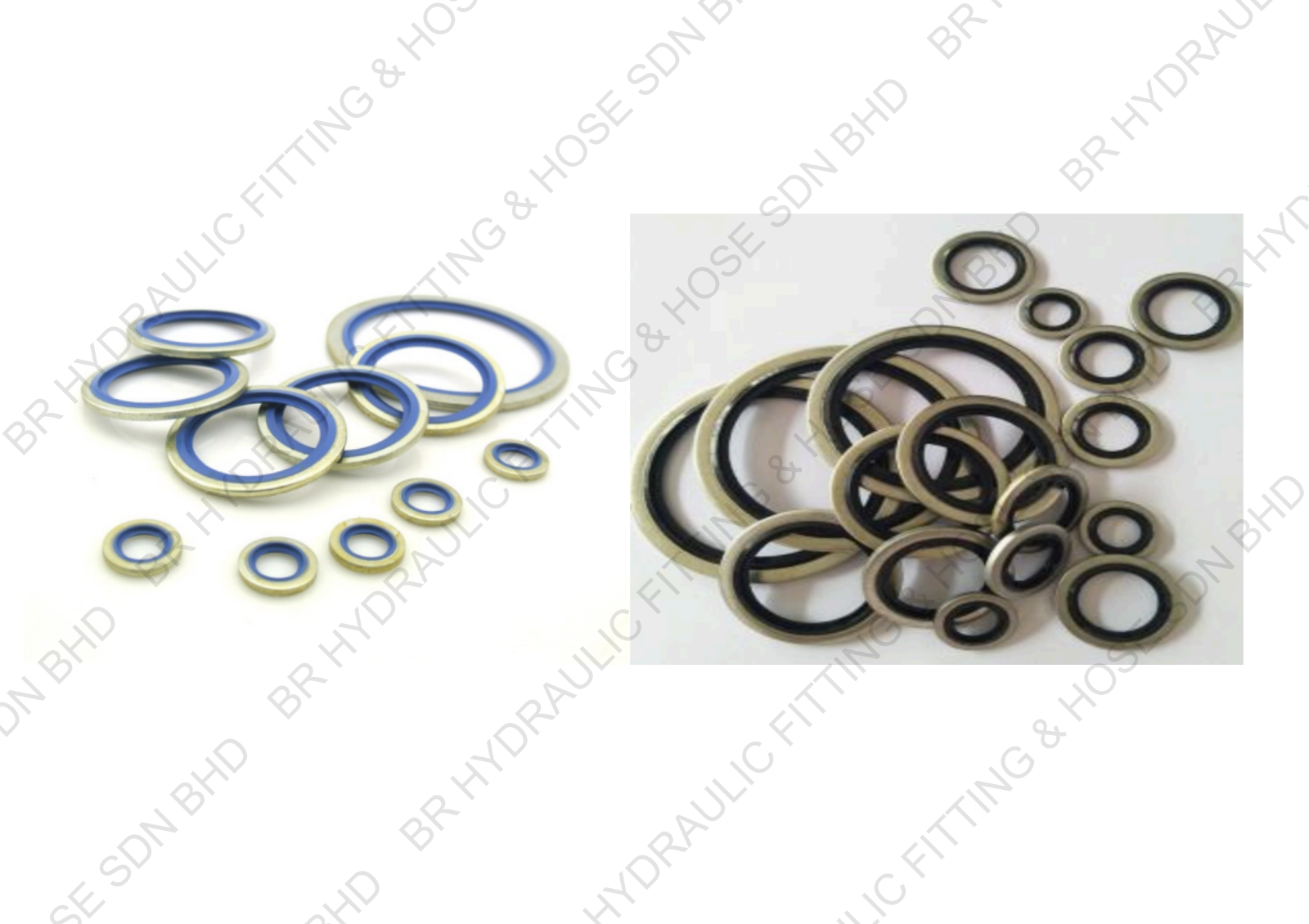 BOUNDED SEAL BDS-MM,BSP