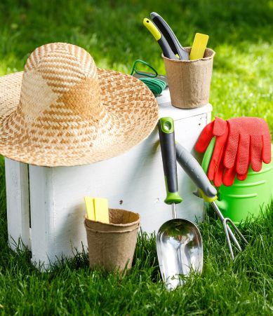 Planting Material