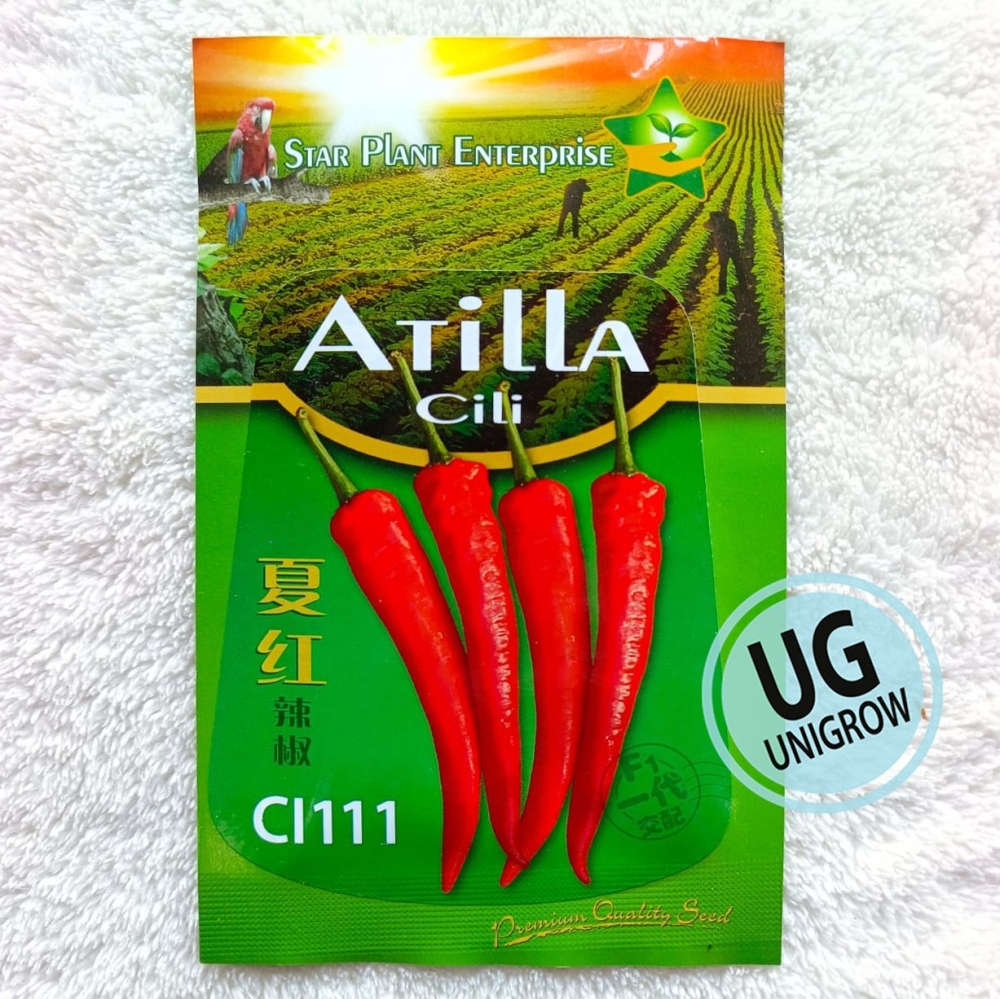CL111 F1 Chili Kulai Atilla (10gm) 一代交配古来辣椒夏红