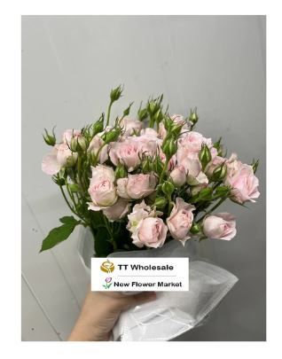 Buy Fresh Rose Spray Online | For Flower Arrangement