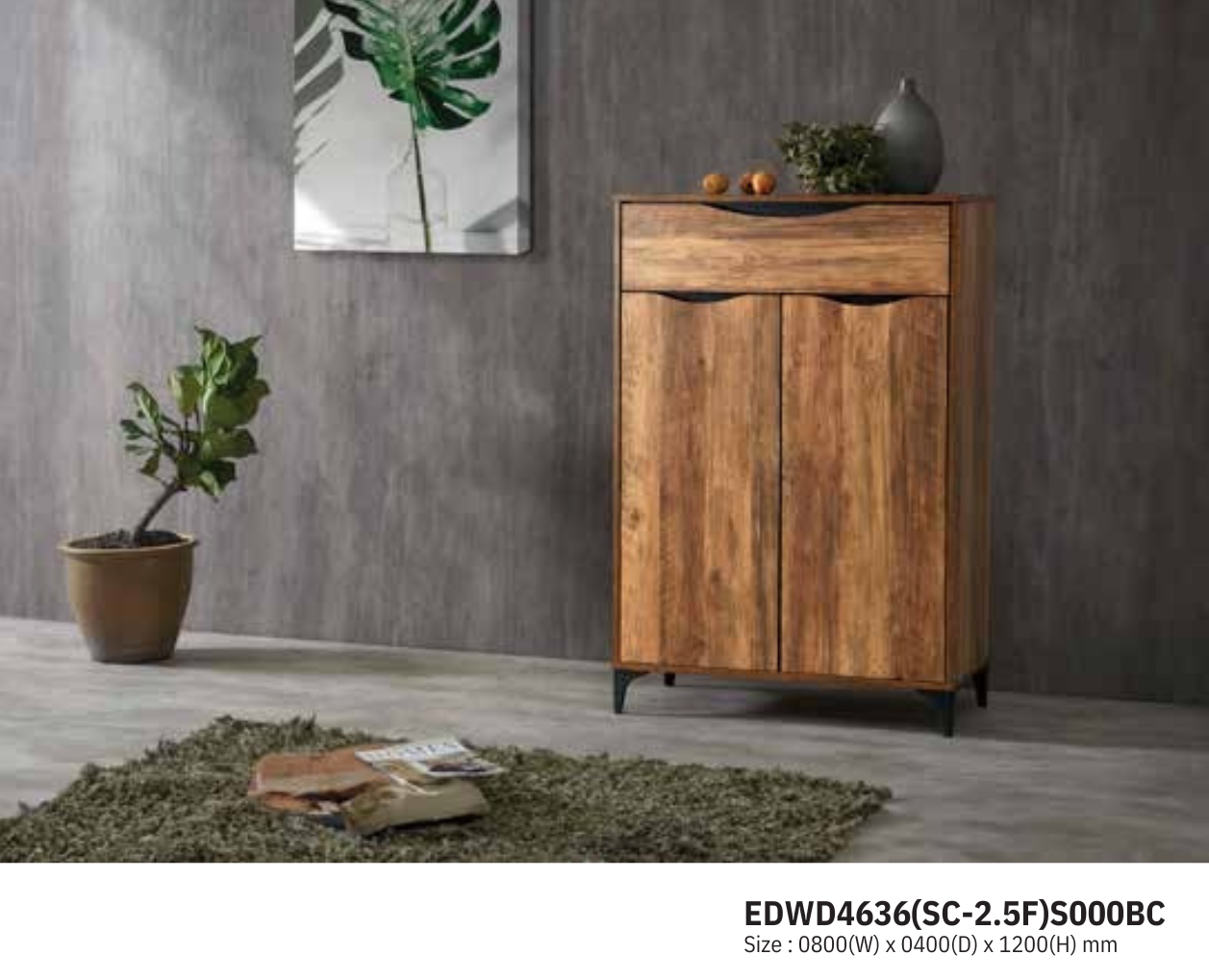 SHOE CABINET (EDWD4636)